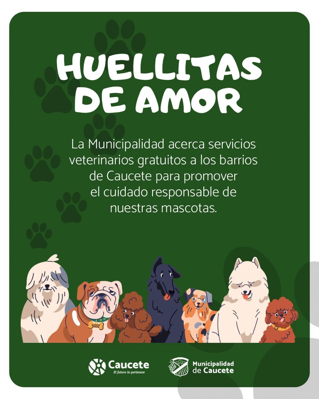 Operativo municipal para mascotas, el programa Huellitas de amor llega a Villa Independencia