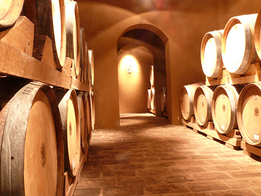 Una importante bodega de Caucete con problemas financieros