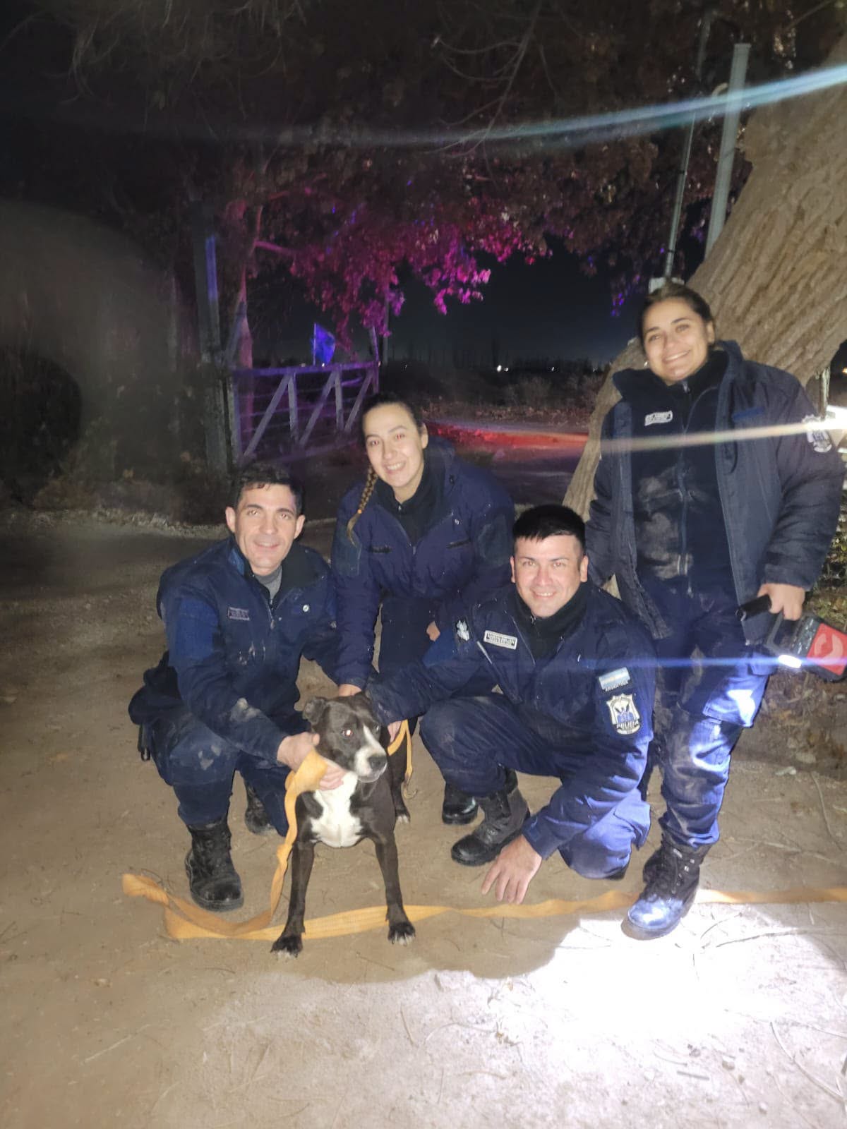 Un extraño suceso ocurrió en plena madrugada en 9 de Julio